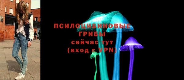 а пвп мука Елабуга
