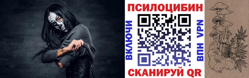 купить  сайты  Темрюк  Псилоцибиновые грибы GOLDEN TEACHER 